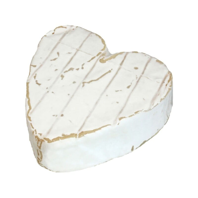Coeur de Neufchatel fermier AOP 23%MG 200g