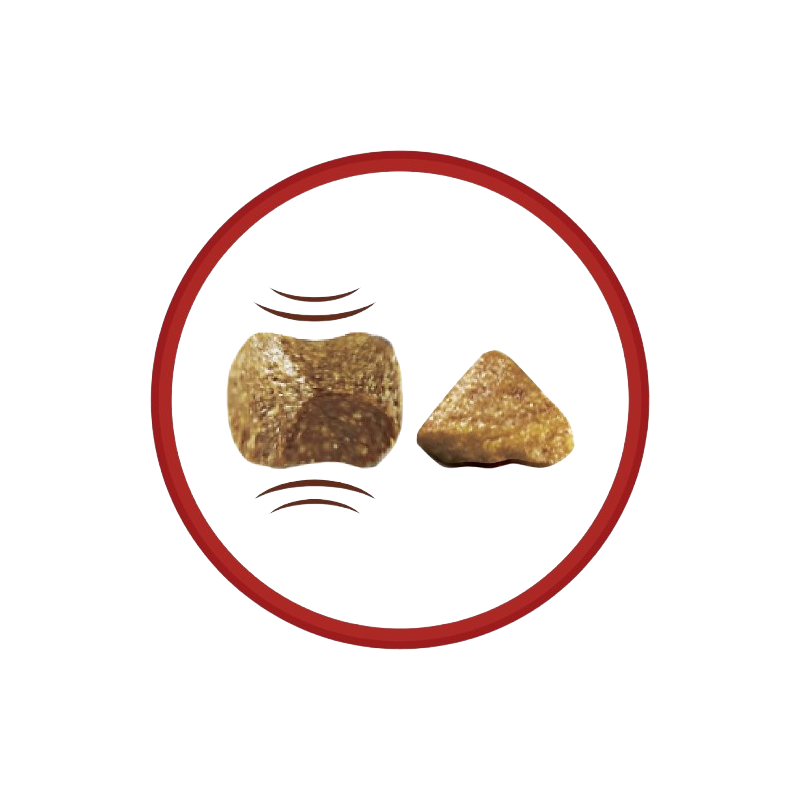 Croquettes de boeuf pour chiens adultes 1.5kg