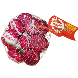 Fromage fondu au lait pasteurisé x9 180g