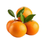 Orange feuilles 4 fruits