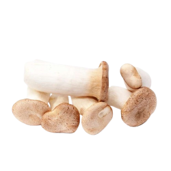 Champignons Eryngii 200g