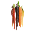 Carotte 3 Couleurs 1kg