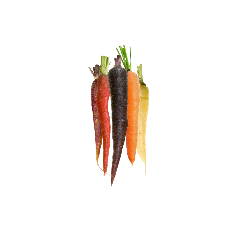 Carotte 3 Couleurs 1kg