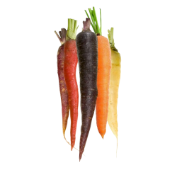 Carotte 3 Couleurs 1kg