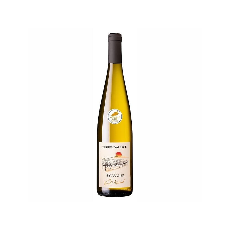 Vin blanc sec AOC Alsace sylvaner terre d'Alsace 12% 75cl