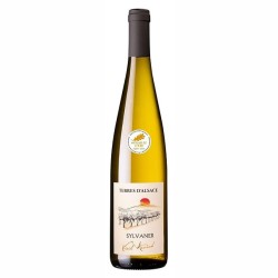 Vin blanc sec AOC Alsace sylvaner terre d'Alsace 12% 75cl