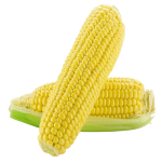 Epis Maïs Frais x2