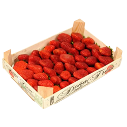 Fraises plateau 1kg