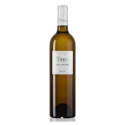 Comte tolosan terreo IGP blanc sec 12% 75cl