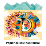 Sac cadeau 25x20x10cm bisou x1