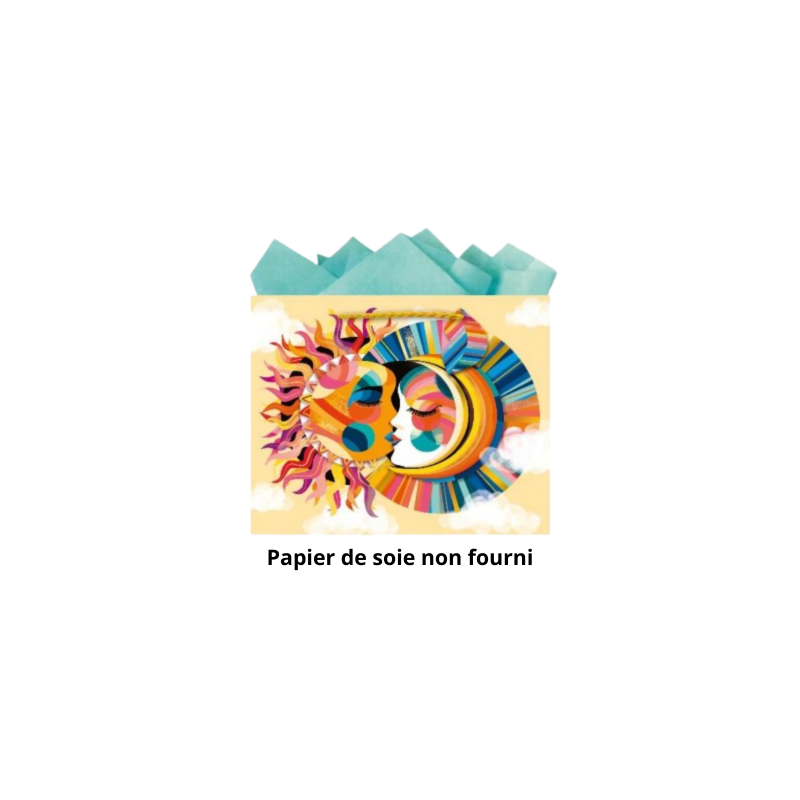 Sac cadeau 25x20x10cm bisou x1