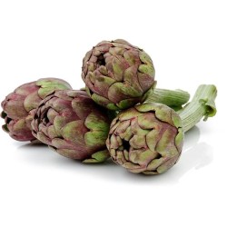 Artichaut poivrade en bouquet pièce