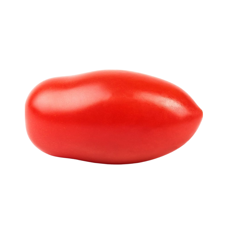 Tomate allongée pièce