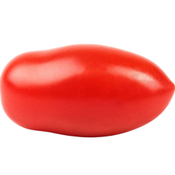 Tomate allongée pièce