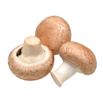 Champignons rosés bio 250g