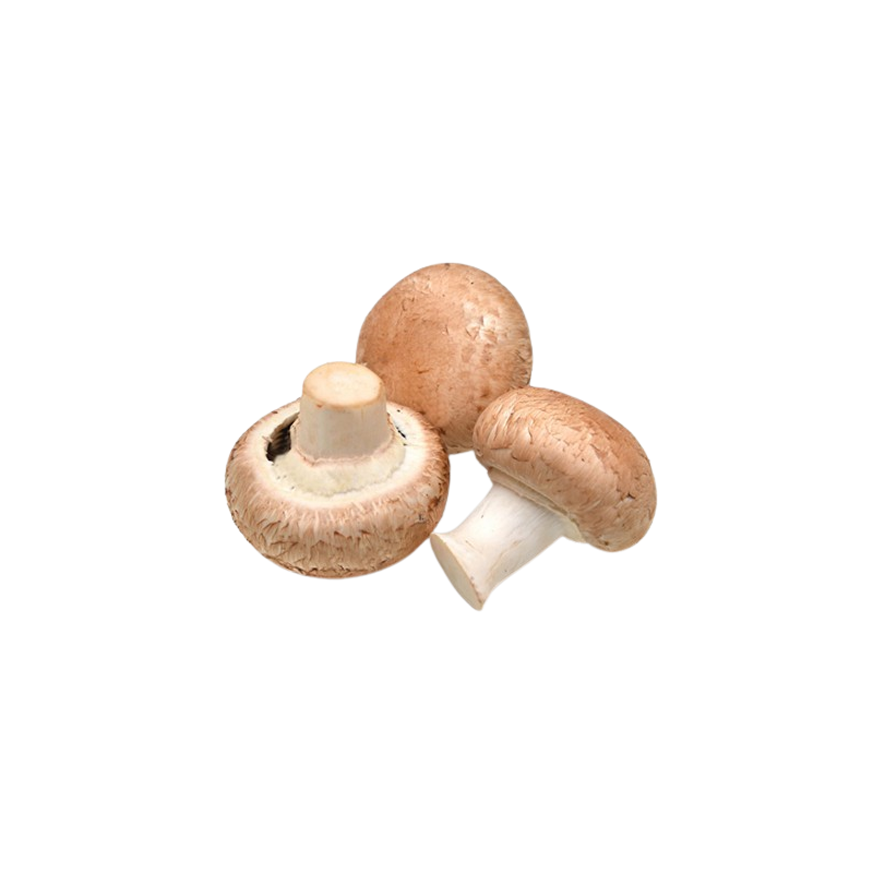 Champignons rosés bio 250g
