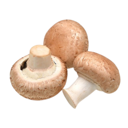Champignons rosés bio 250g