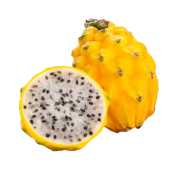 Pitahaya jaune pièce