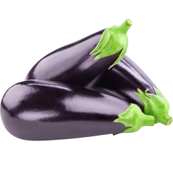 Aubergines 1kg