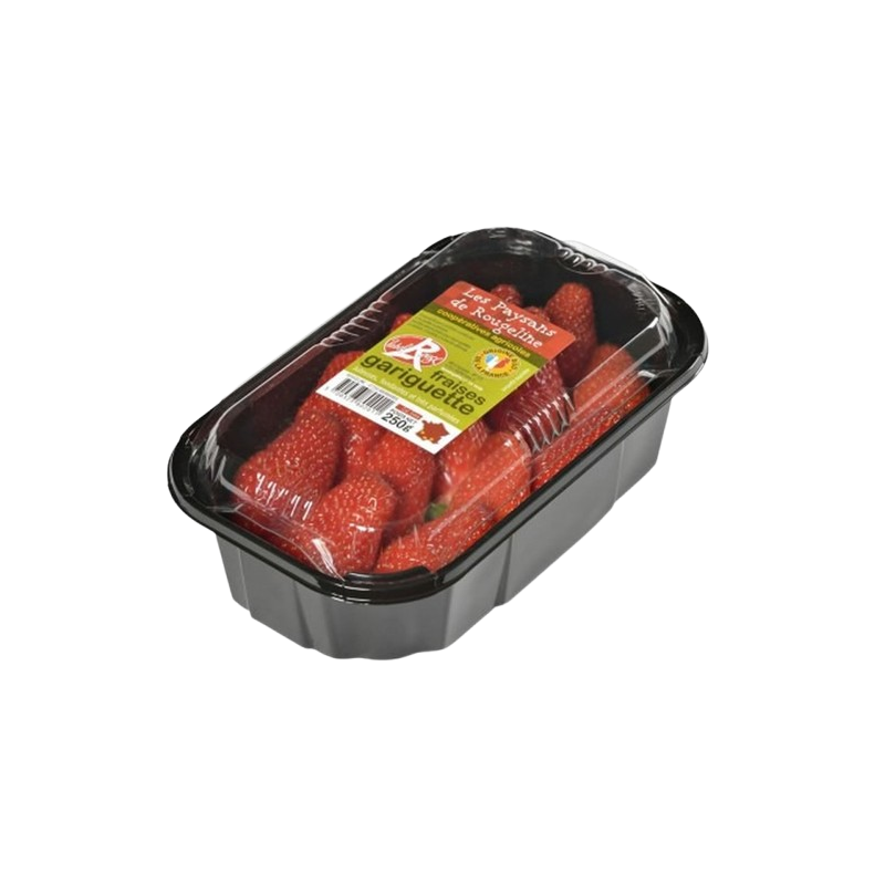 Fraises Gariguette Label Rouge 250g