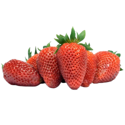 Fraise Ciflorette 250g