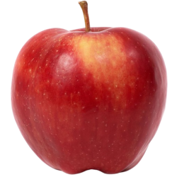 CULTIVONS LE BON Pomme Swing bio pièce