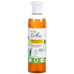 Shampoing traitant concentré à l'aloe vera 69% bio 250ml