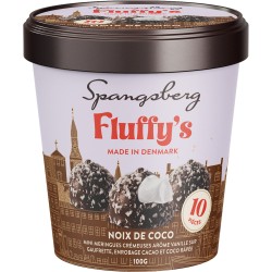 Meringues crémeuses à la vanille enrobées de cacao et coco x10 100g