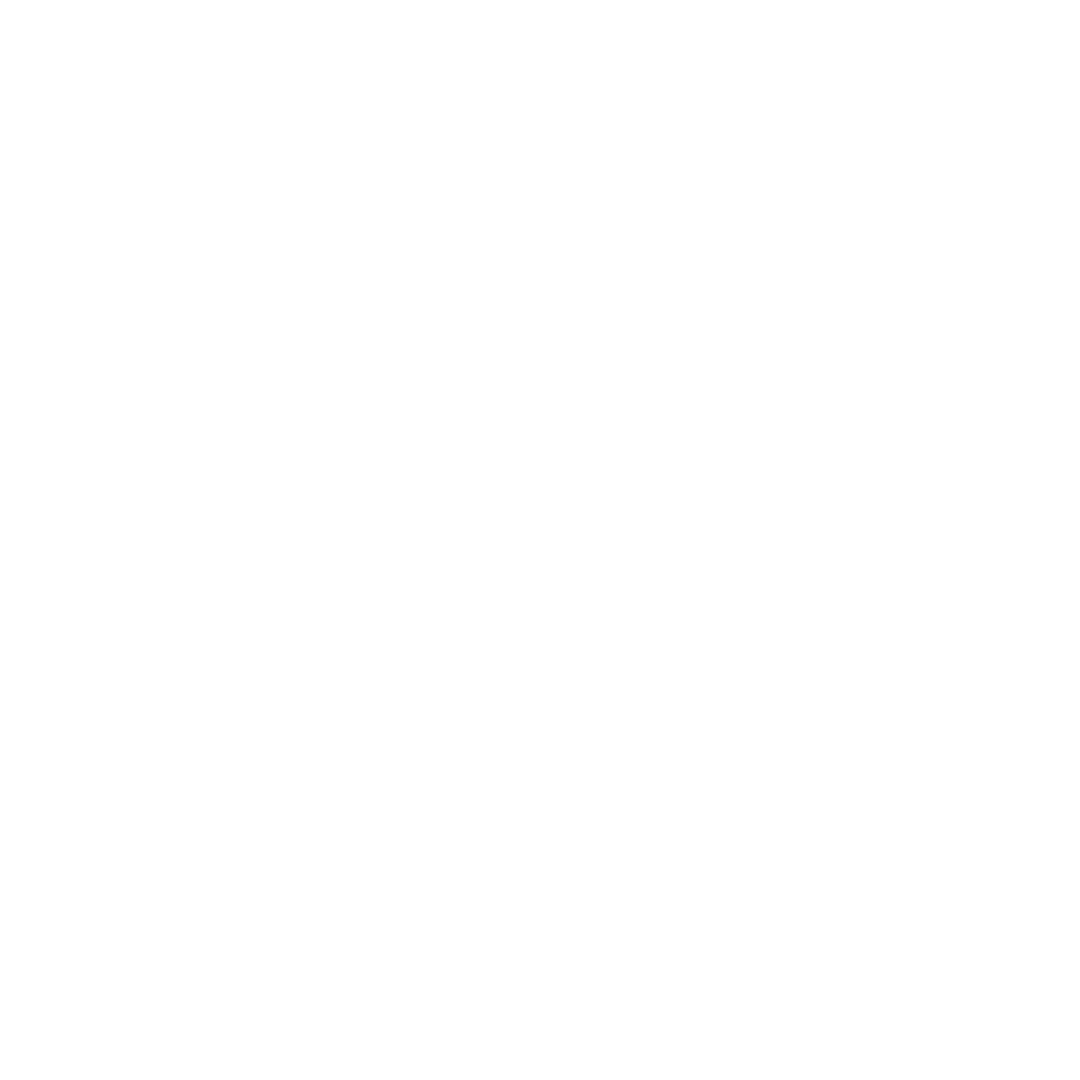 Oiseau blanc sur fond transparent